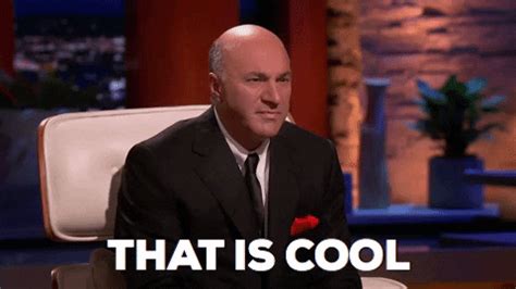 Shark Tank Kevin Oleary GIF by ABC Network - Find & Share on GIPHY