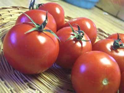 10 Must Know Tomato Growing Tips - Plant Care Today Tips For Growing Tomatoes, Growing Organic ...