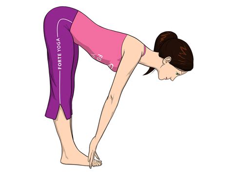 Standing Half Forward Bend Yoga Pose - Forte Yoga