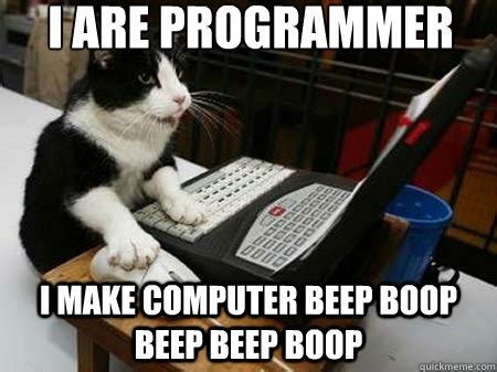 I are programmer I make computer beep boop beep beep boop - Programmer Cat - quickmeme