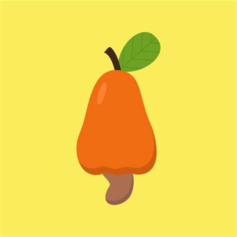 cashew fruit flat design vector illustration. cashew nut vector ...