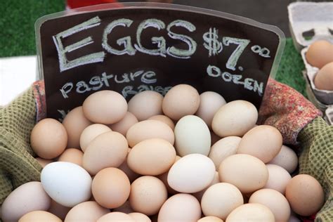 Detailed Description of What Sets 'Pasture-Raised' Eggs Apart Is Eye-Opening - Delishably News