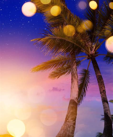 Beach Party Background Hd - Image to u