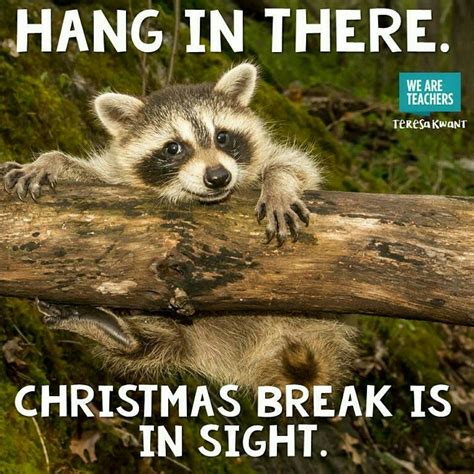 Hang in there. Christmas break is in sight. | Teacher quotes funny, Teacher memes, Teaching memes