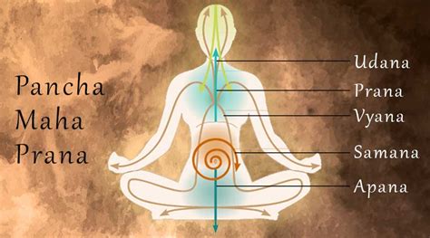 How prana works? - Monad Yoga Online | Online Yoga Classes