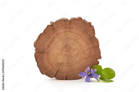 Mockup wood frame with lignum vitae flower isolated on white background ...