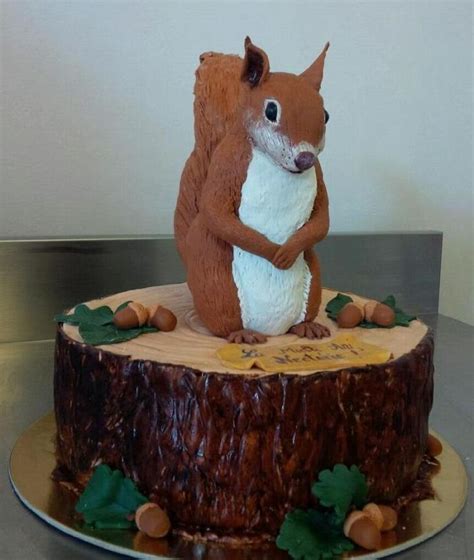 Squirrel | Squirrel cake, Squirrel, Cake