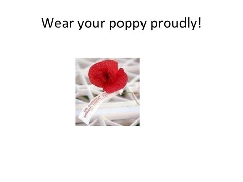 Story of the Memorial Day Poppy