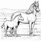 Free Printable Horse Coloring Pages For Kids sketch template