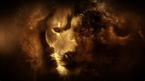 Wallpapers Box: Abstract Lion HD Wallpapers | Backgrounds