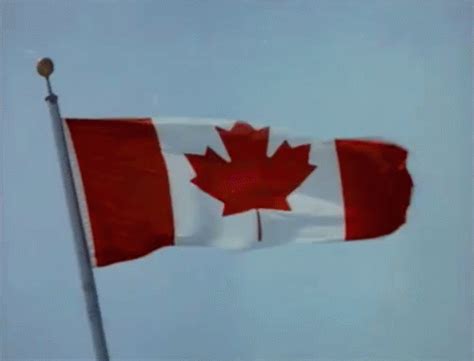 Canadian Flag Waving Gif