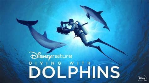 Diving with Dolphins (2020)