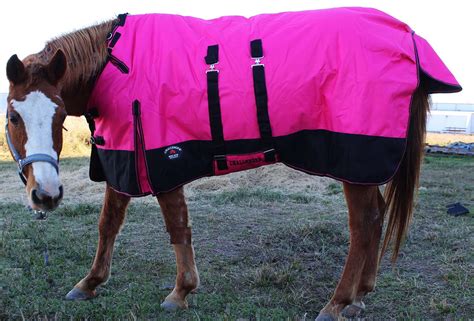 1200D Turnout Waterproof Horse WINTER BLANKET HEAVY Belly Band 573B ...