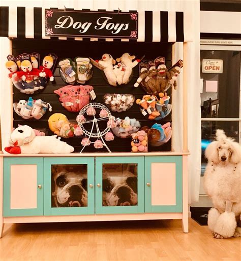 Dog toy display pet boutique display at Bow Wow Beauty Shoppe San Diego ...