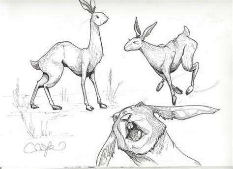 Explore the Best Rabbuck Art | DeviantArt