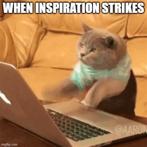 fast typing cat Memes - Imgflip