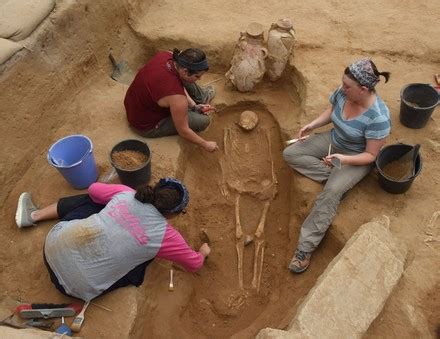 Workers Uncover Bones Philistines Groundbreaking Discovery Editorial Stock Photo - Stock Image ...