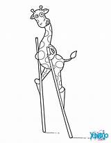 Dibujo para Colorear  Jirafa En zancos Animal Coloring Pages sketch template