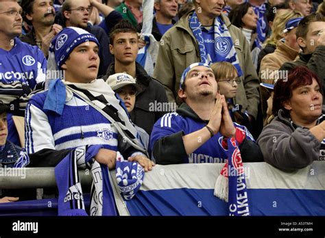 Fans of Schalke 04 football club at the Veltins Arena, Gelsenkirchen ...