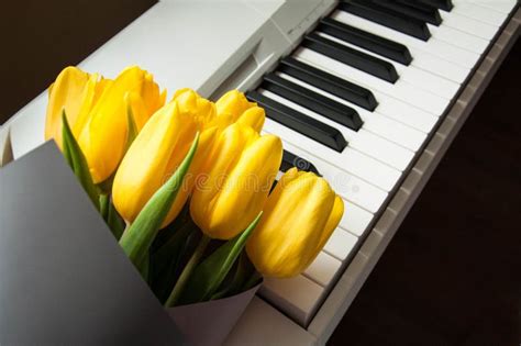 Romantic Flowers on the Piano Stock Image - Image of isolated ...