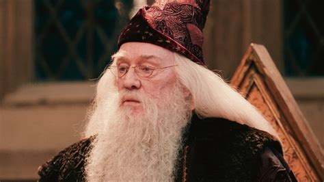 The Real Reason Ian McKellen Turned Down The Role Of Dumbledore In ...