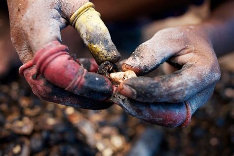 Blood Cashews: The Toxic Truth About Cashew Production - Soapboxie