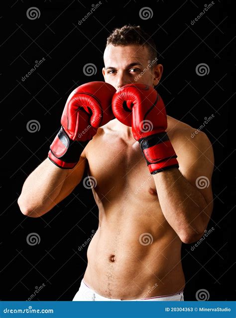 Boxer in guard position stock image. Image of training - 20304363