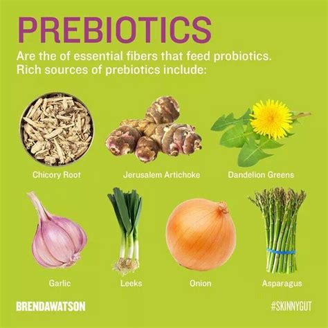 Prebiotics | Prebiotics, Nutrition recipes, Prebiotic foods