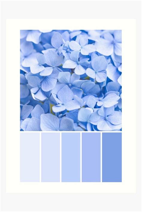 Pastel blue Hydrangea Colour Palette | Print by Zoe Power | Blue paint color palettes, Blue ...