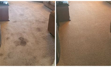 Incredible Photos of Before and After Carpet Cleaning -Sparkling and Beyond