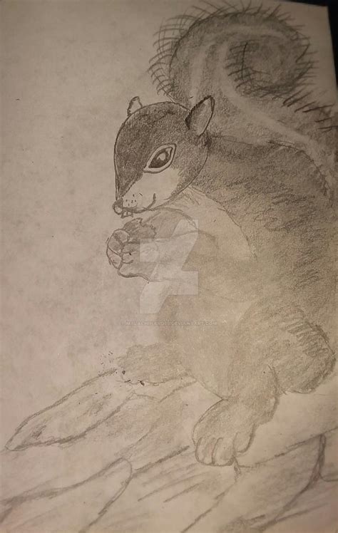 Squirrel eating an acorn by malachihaydes on DeviantArt