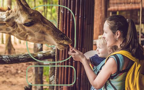 The Effect of Zoos on Animal Health and Well-Being - Environment Co