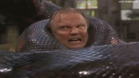 Anaconda Snake GIF - Anaconda Snake Choke - Discover & Share GIFs