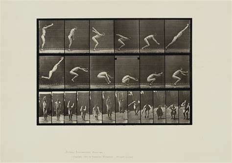 EADWEARD MUYBRIDGE (1830-1904) , Animal Locomotion, 1887 | Christie's