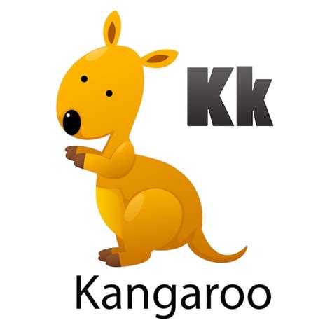 Premium Vector | Alphabet letter k-kangaroo