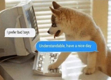 Good Boy memes. Plenty of growth potential. BUY BUY BUY : r/MemeEconomy