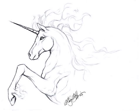 Fire Unicorn -rapidash- Sketch by WhiteSpiritWolf on DeviantArt