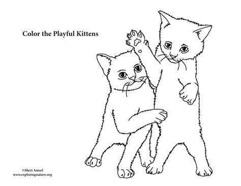 Kittens Playing Coloring Page