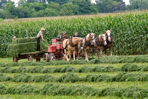 It’s the time of year when farmers are kept busy harvesting a variety of crops. Freshly cut rows ...