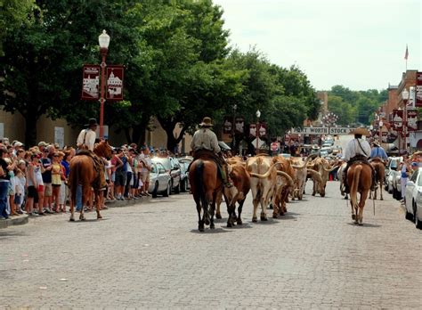 Fort Worth Stockyard Cattle drive Fort Worth Stockyards, Cattle Drive ...