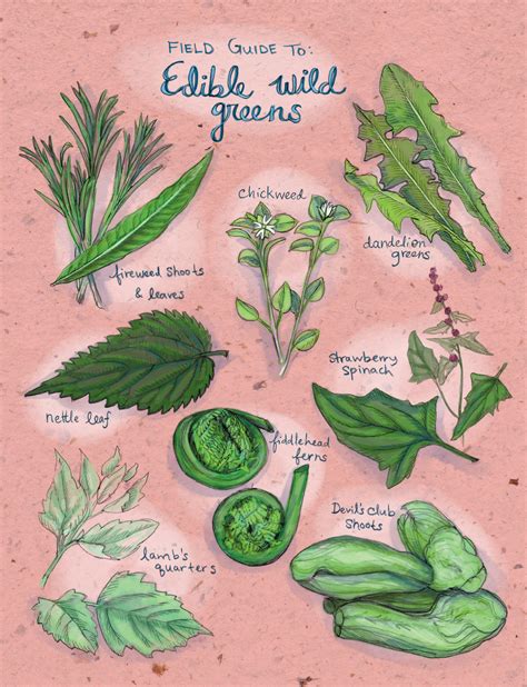 Types Of Edible Grass