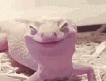 Lizard Lizard Smile GIF - Lizard LizardSmile Smile - Discover & Share GIFs