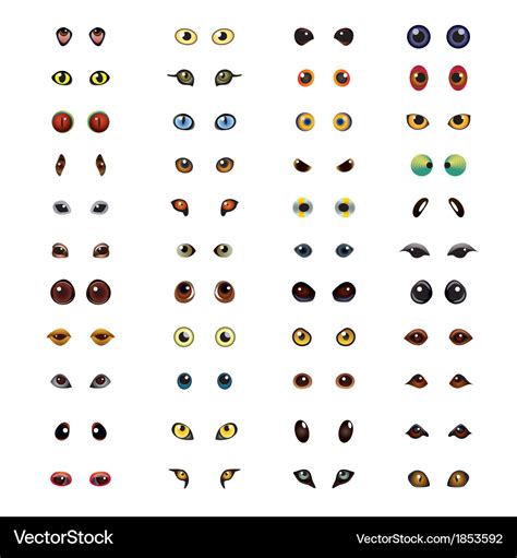 Animals eyes set Royalty Free Vector Image - VectorStock