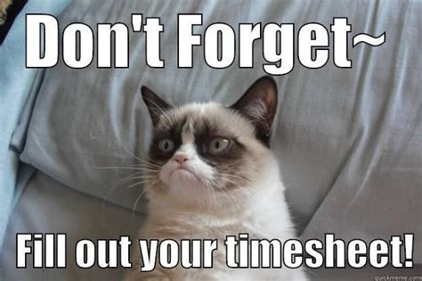 Grumpy Cat Timesheet Reminder. | Grumpy cat humor, Grumpy cat quotes, Grumpy cat meme