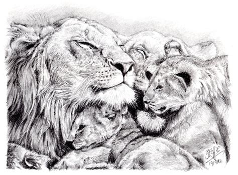 Lion Family Drawing at PaintingValley.com | Explore collection of Lion ...