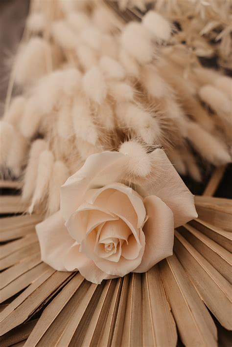 Rose, white, flower, bouquet, HD phone wallpaper | Peakpx