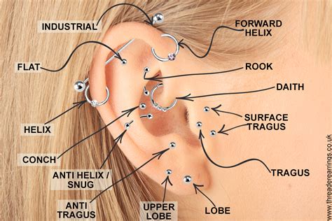 Ear piercing diagram | Myth and Silver