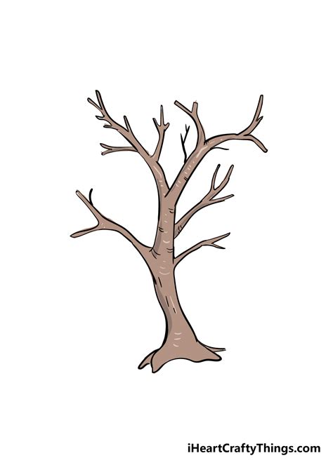 Branches Drawing - How To Draw Branches Step By Step