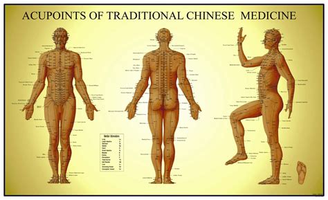 How does acupuncture work for pain? by Transformational Acupuncture