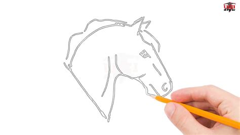 How to Draw A Horse Head Step by Step Easy for Beginners – Simple Horse ...